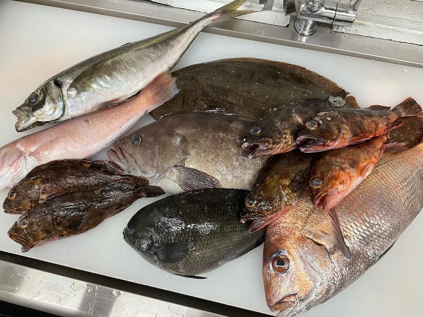 鮮魚のこだわり 3